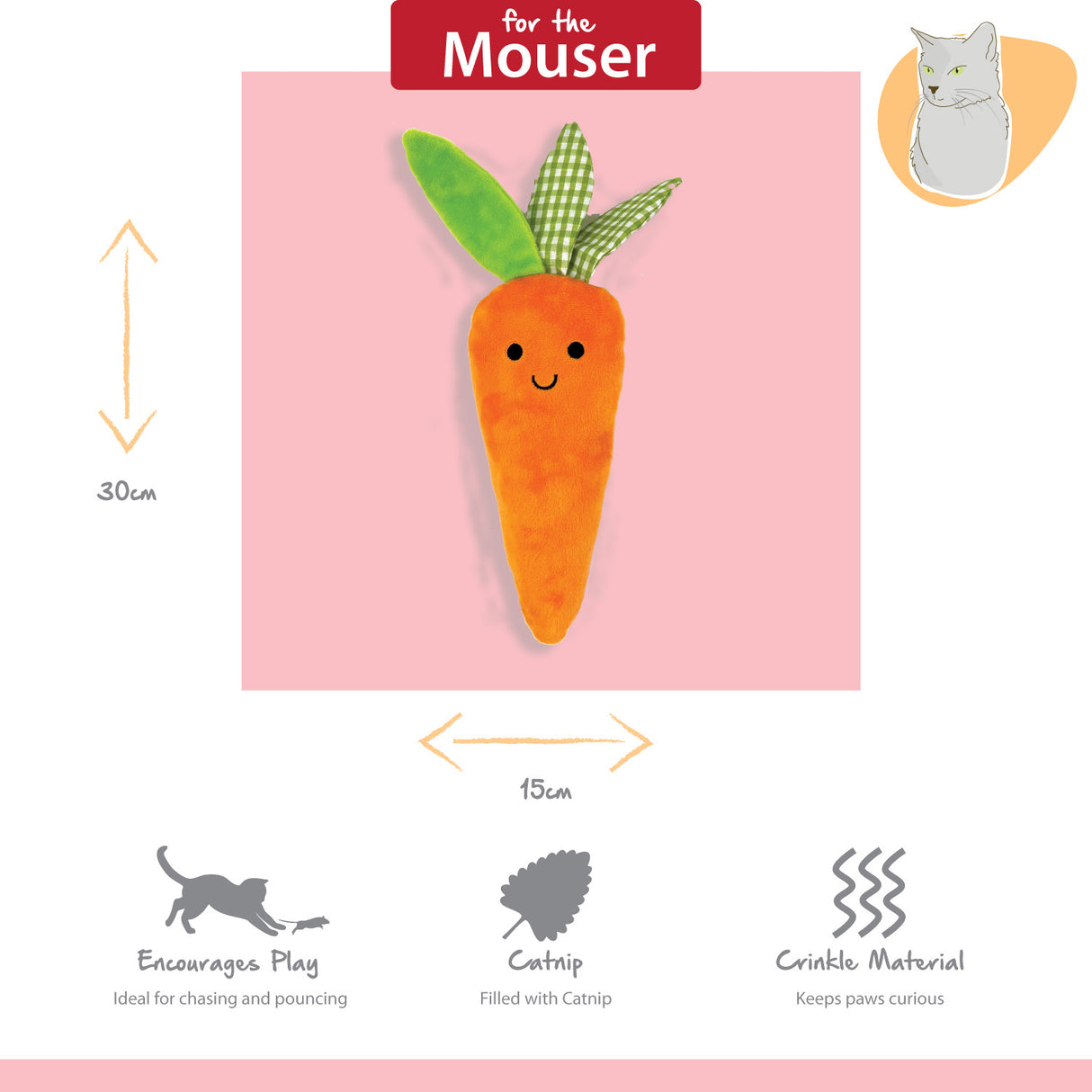 Happy Pet Tabby Patch Carrot Cat Kicker