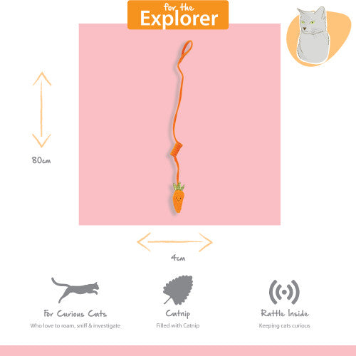 Happy Pet Tabby Patch Carrot Cat Bungee