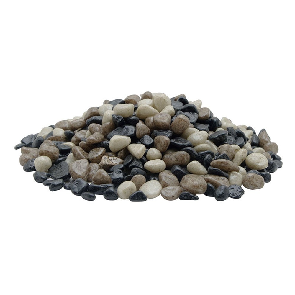 https://cdn.shopify.com/s/files/1/0908/1677/4522/files/1455793088-72176200.jpg?v=1749676868