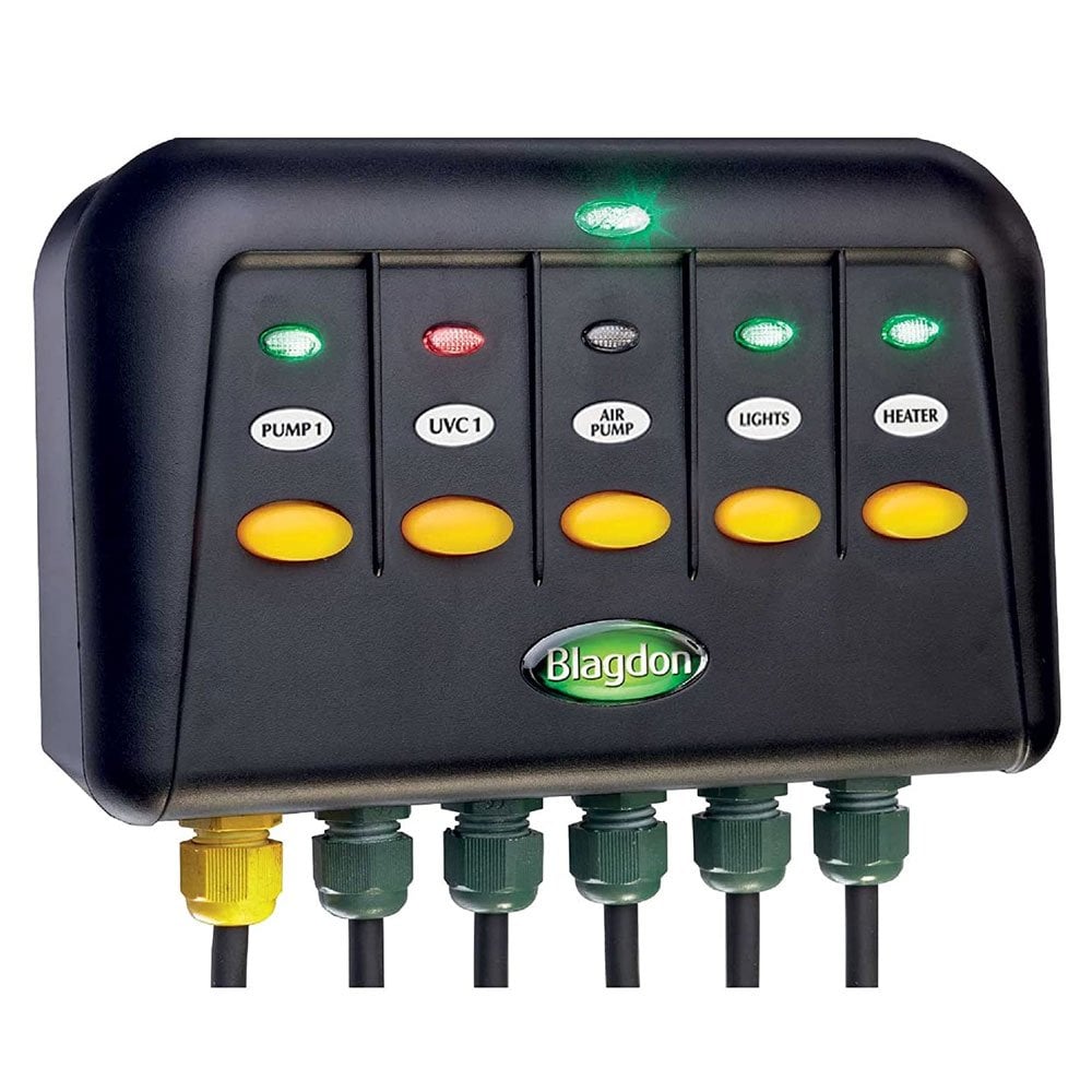 https://cdn.shopify.com/s/files/1/0908/1677/4522/files/1632918364-61711500.jpg?v=1749669451