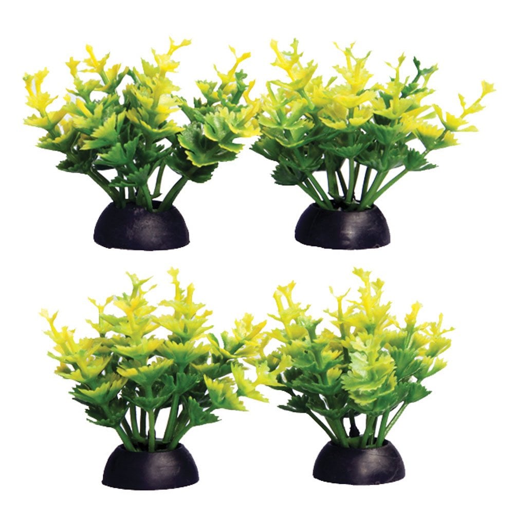 Aqua One Ecoscape Foreground Yellow Catspaw (4pk)