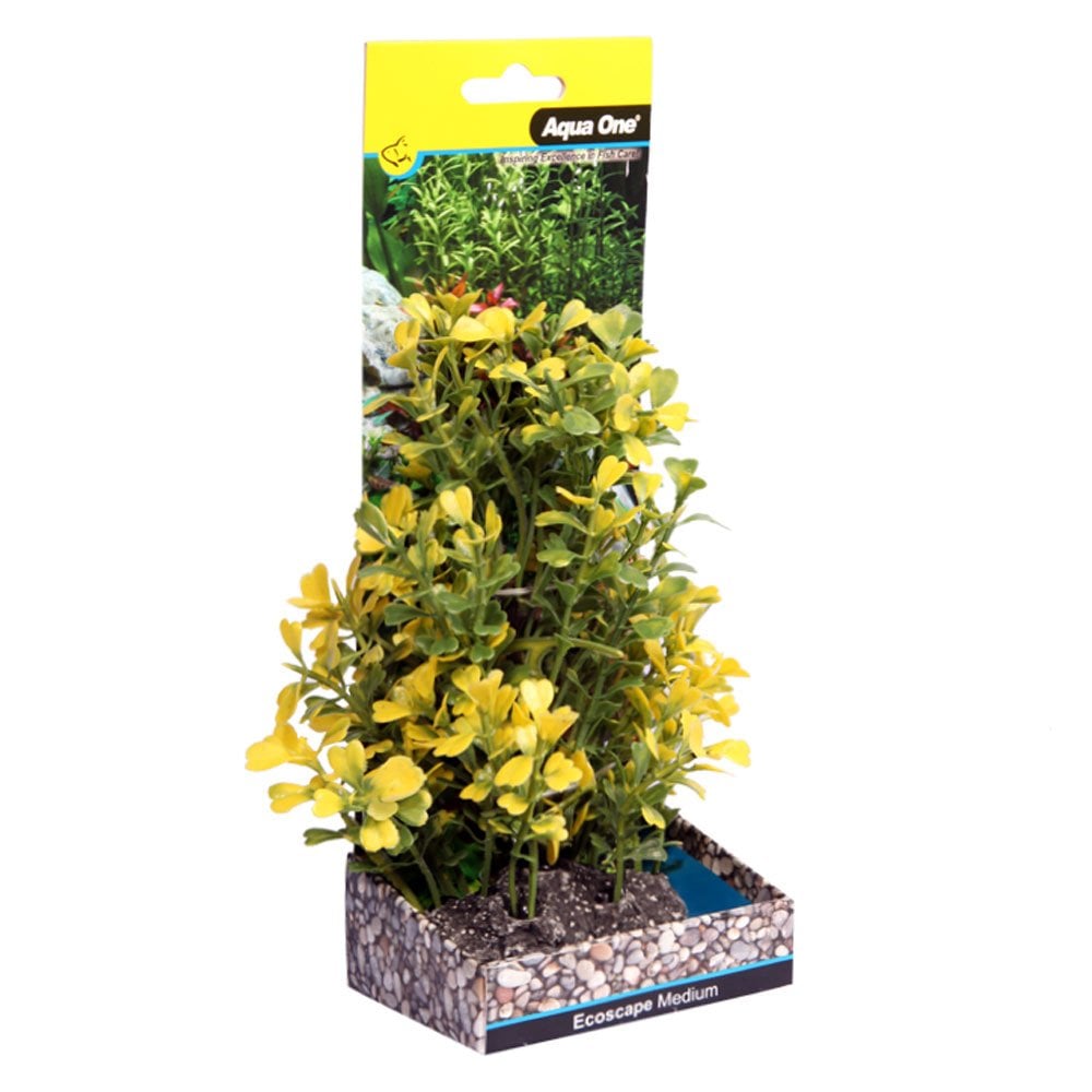 Aqua One Ecoscape Yellow Japanese Box 20cm
