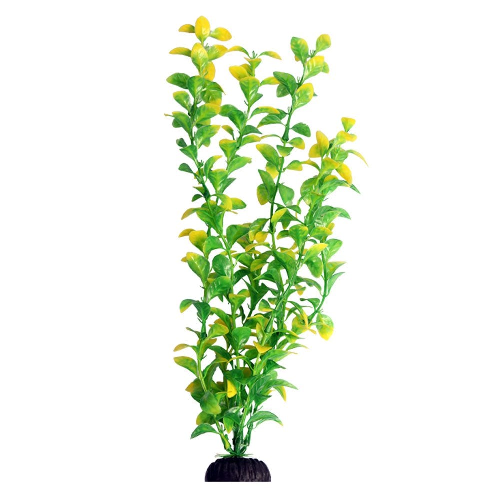 Aqua One Ecoscape Green Hygro 40cm