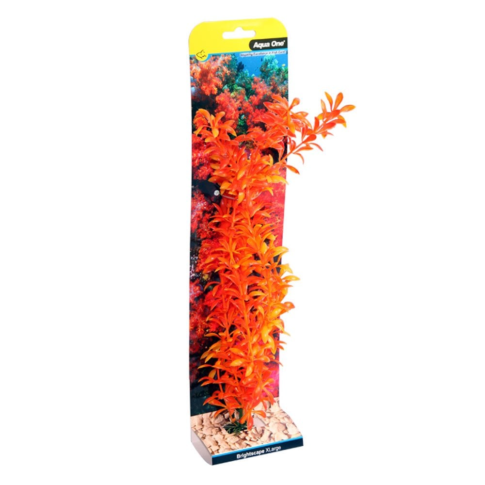 Aqua One Brightscape Orange Ludwigia 40cm