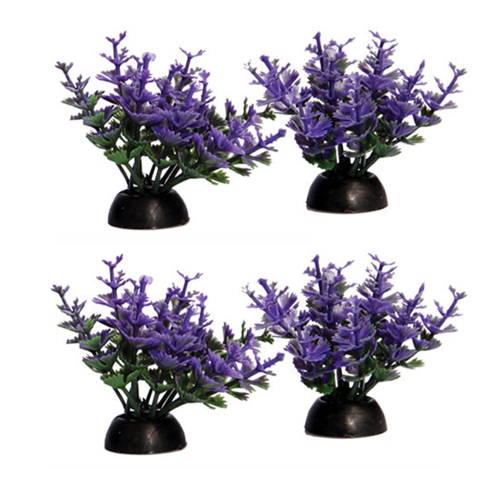 Aqua One Ecoscape Foreground Purple Catspaw (4pk)