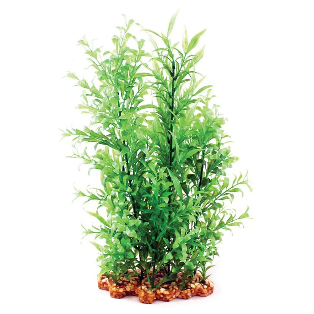 Aqua One Vibrance Hygrophila/Ludwigia 40cm