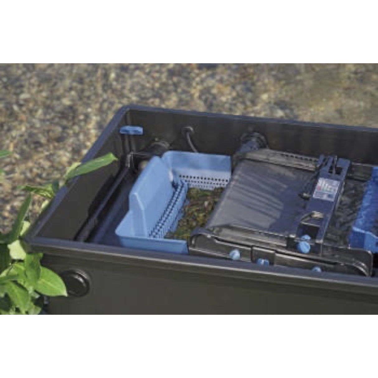 https://c889979.ssl.cf3.rackcdn.com/watergarden/uploads/prod_img/2_6593_s.jpg
