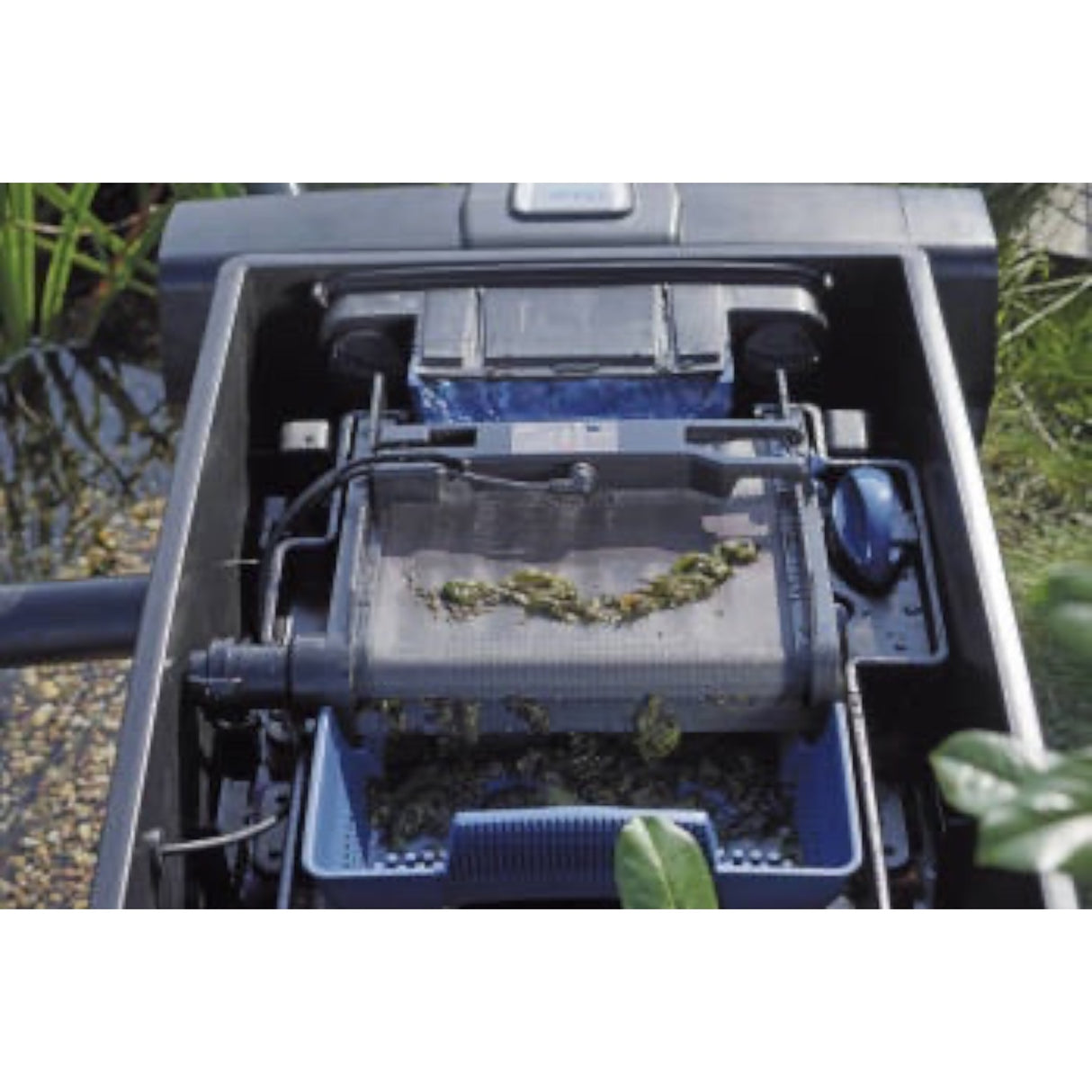 https://c889979.ssl.cf3.rackcdn.com/watergarden/uploads/prod_img/2_6594_s.jpg