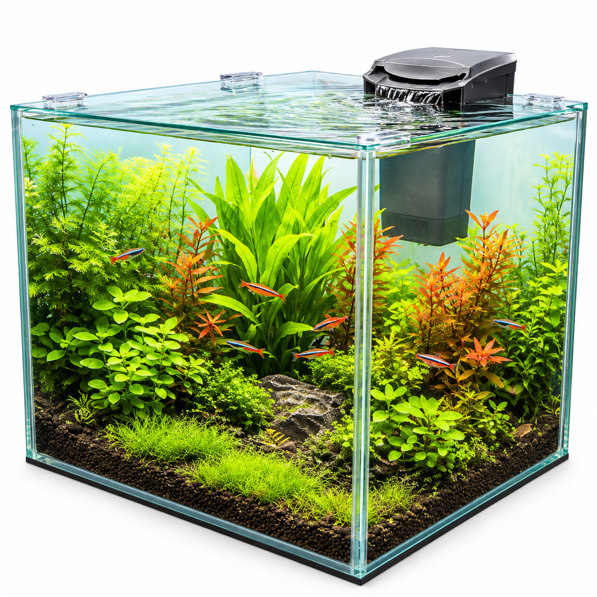Interpet Scape Kit
