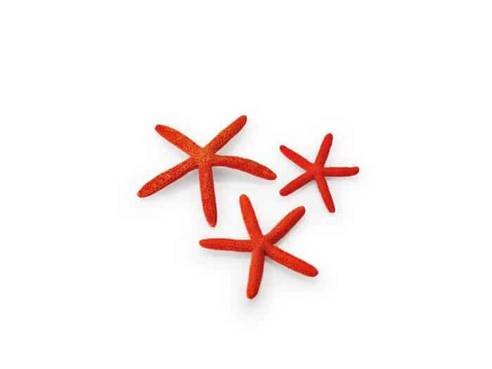 biOrb Starfish Set 3 Red