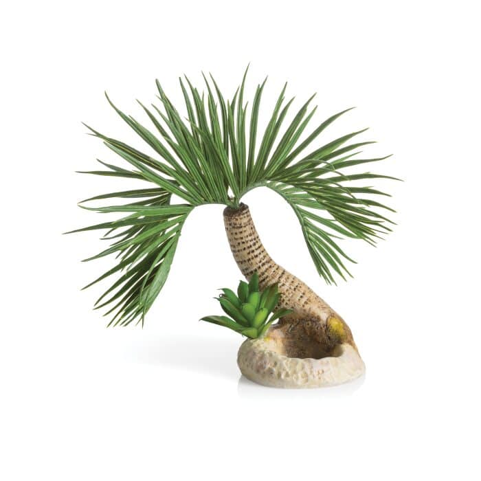 biOrb Palm Tree Seychelles Small
