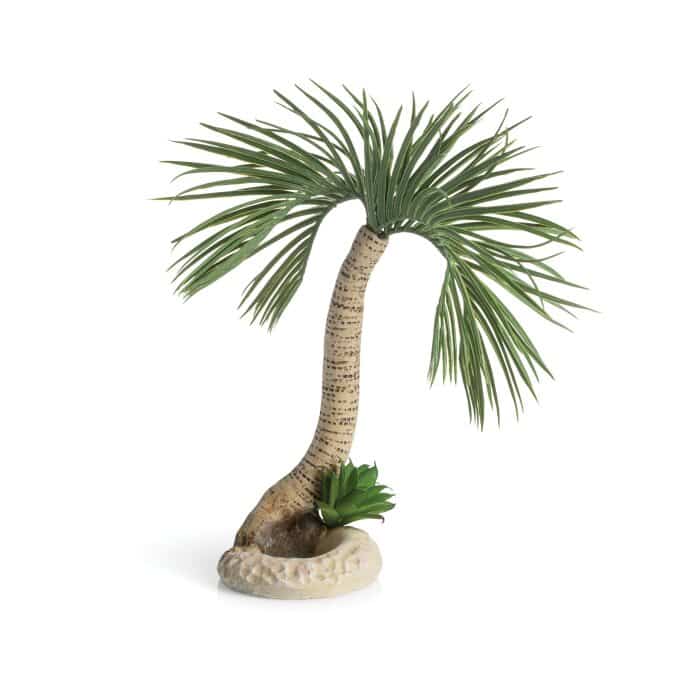Biorb Palm Tree Seychelles Large