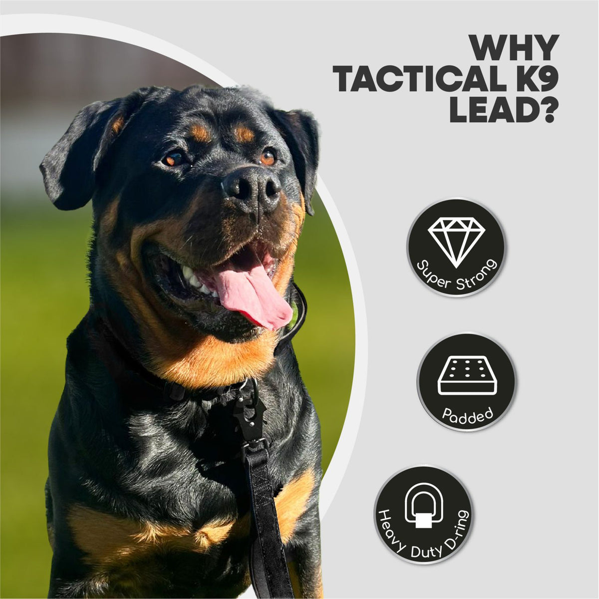 Tactical K9 Endurance Dog Lead