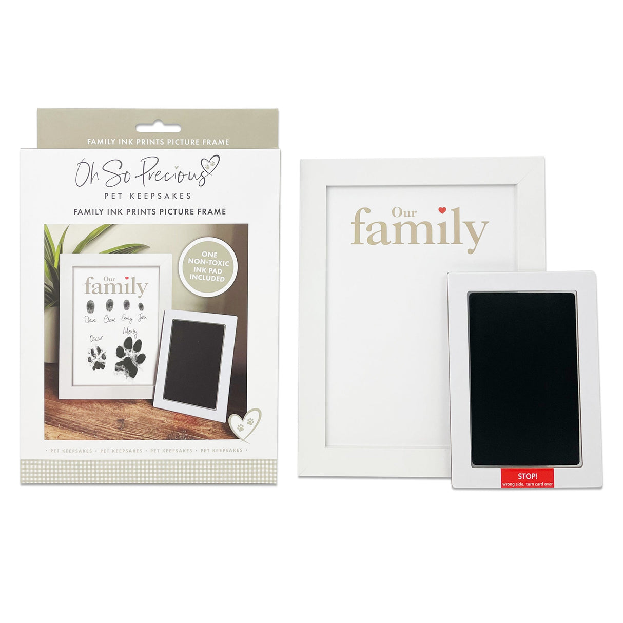 https://cdn.shopify.com/s/files/1/0589/7378/2073/files/Family-Ink-Print-Kit_1.jpg?v=1696424554