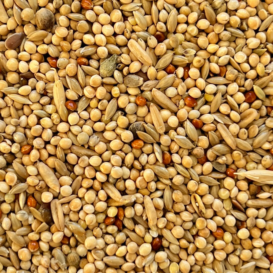 Ray&Larry Complete Budgie Food