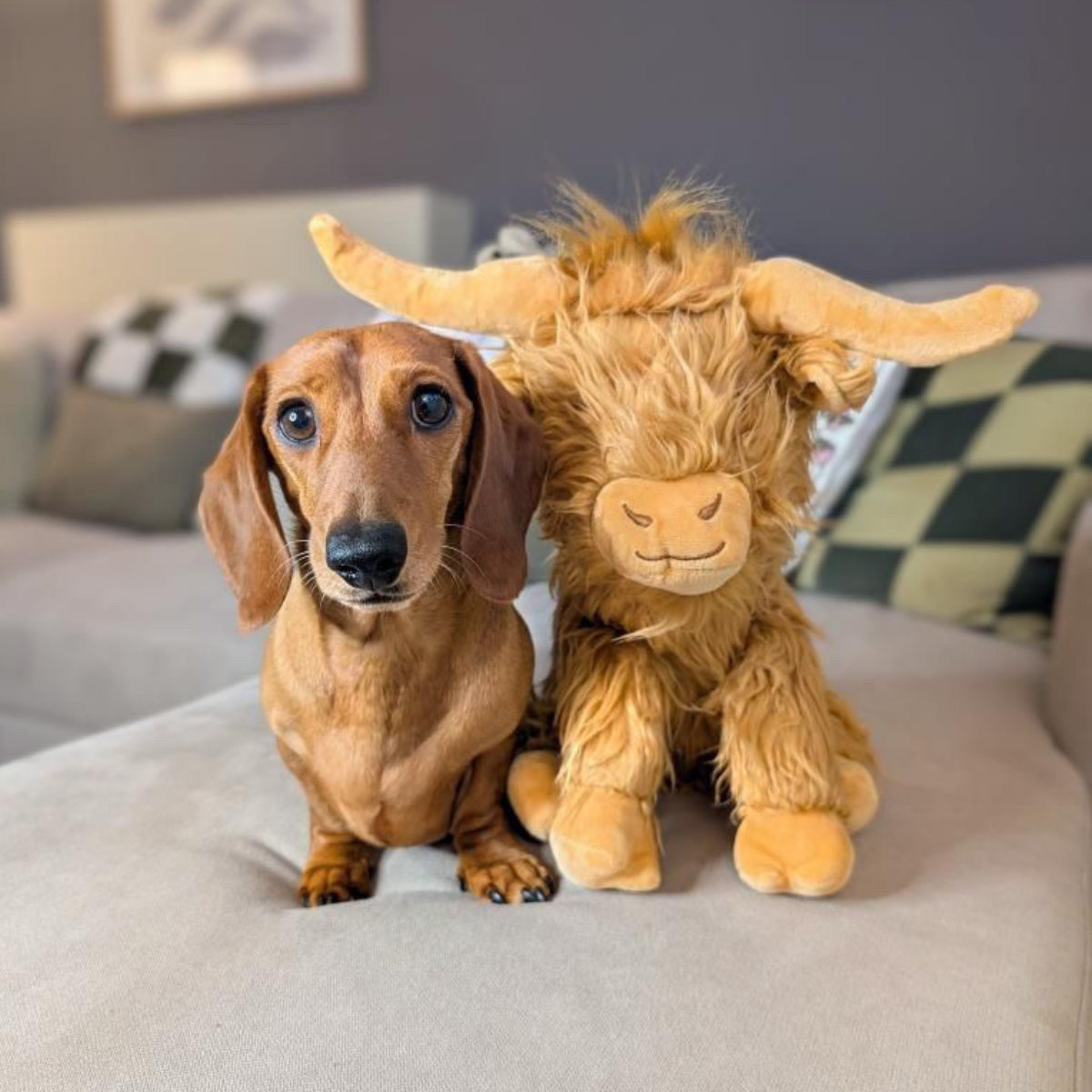 Happy Pet Jumbo Highland Cow Dog Toy