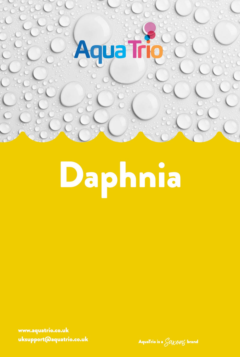 AquaTrio Frozen Daphnia 100g Blister Pack