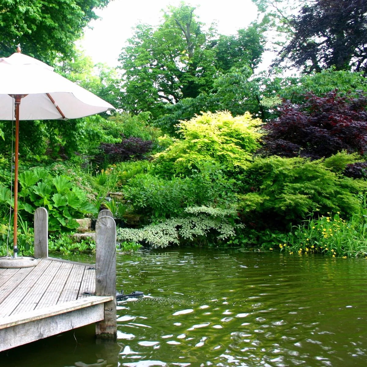 Elevate PondGard™ Liner  1.02MM - (10ft) 3.05m wide