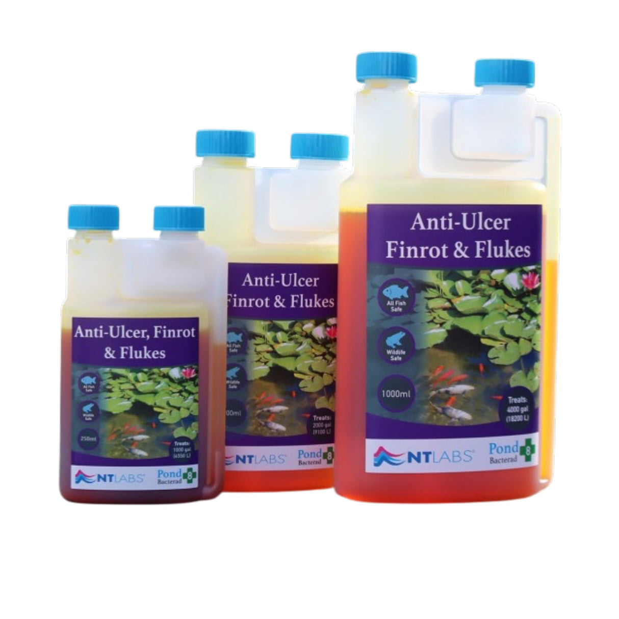 NT Labs Bacterad - Anti-Ulcer Finrot & Flukes