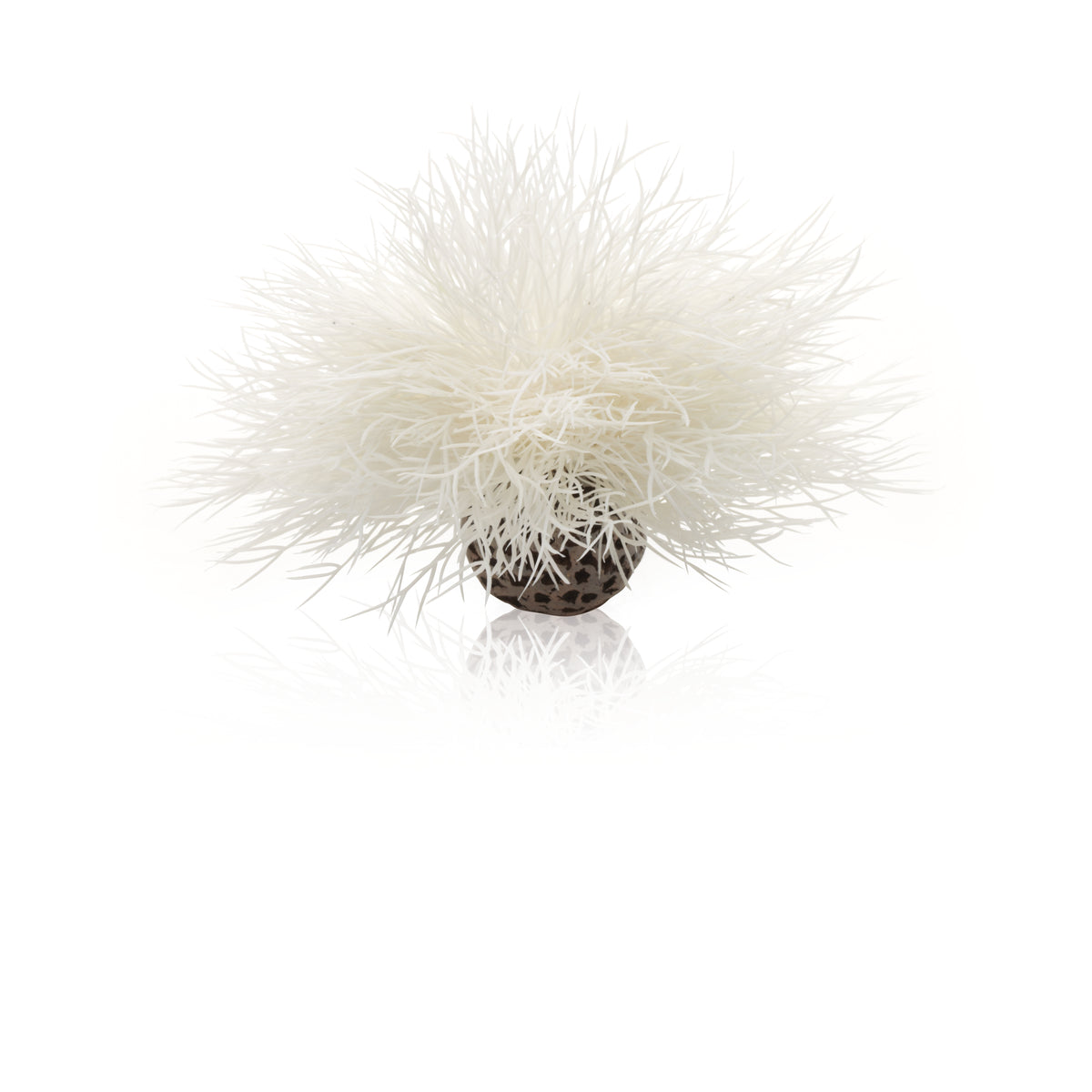 biOrb Sea Lily in White
