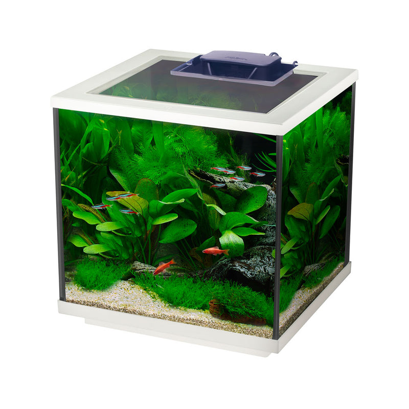Interpet AquaCube 28 Litre LED Aquarium