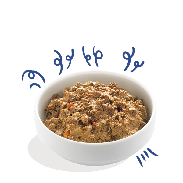 Edgard & Cooper Wet Cup for Dogs Turkey & Salmon 150g