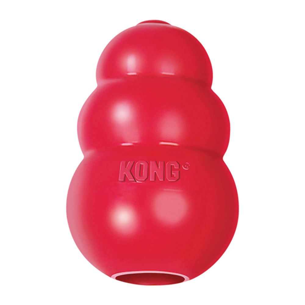 http://waterworlddirect.com/cdn/shop/products/Kong_classic.jpg?v=1602152441