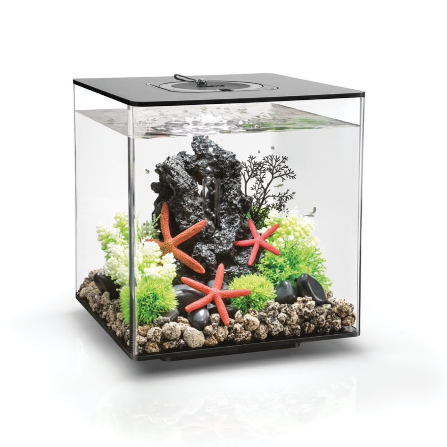 30 litre 2024 fish tank