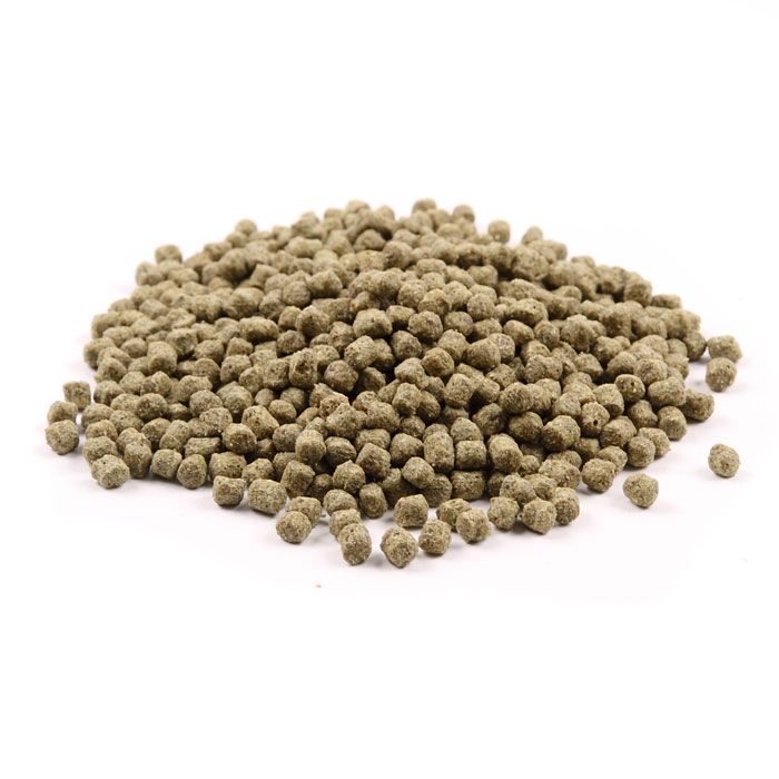 Water World Wheatgerm Food