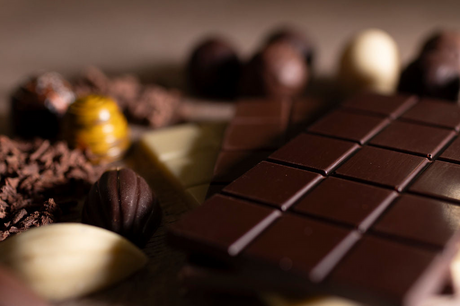 Why Dogs Should Never Be Allowed to Eat Chocolate