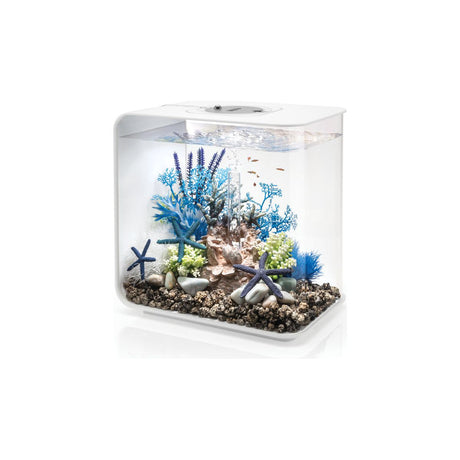 Choosing the Best Fish Tanks for Kids: UK Buying Guide