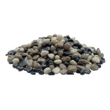 https://cdn.shopify.com/s/files/1/0908/1677/4522/files/1455793088-72176200.jpg?v=1749676868