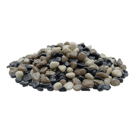 https://cdn.shopify.com/s/files/1/0908/1677/4522/files/1455793088-72176200.jpg?v=1749676868