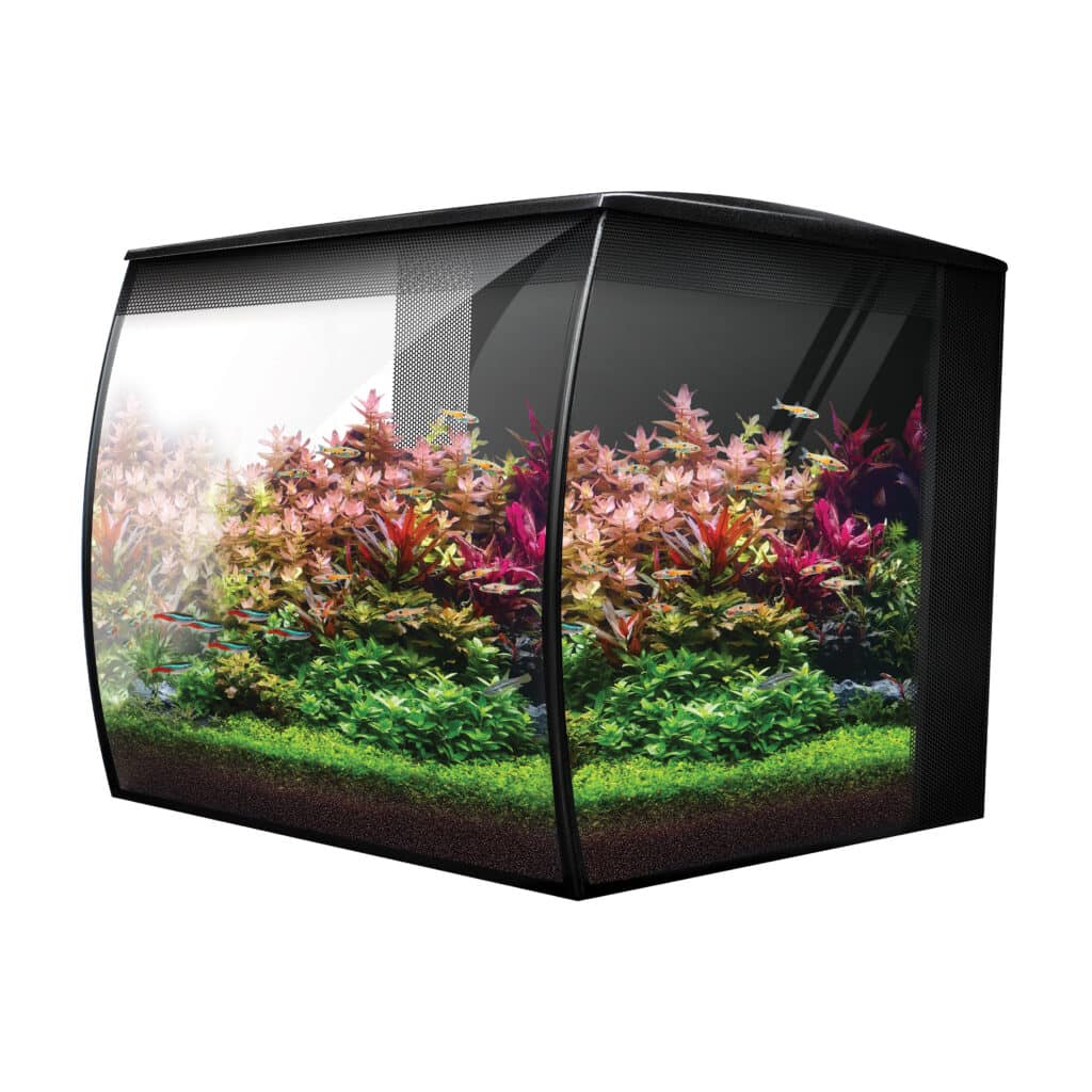Fluval Flex 2.0 34L Aquarium in Black