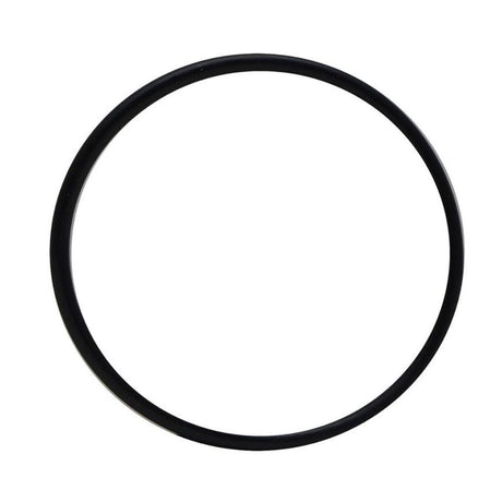 Bitron C 72/110w Ballast O-Ring
