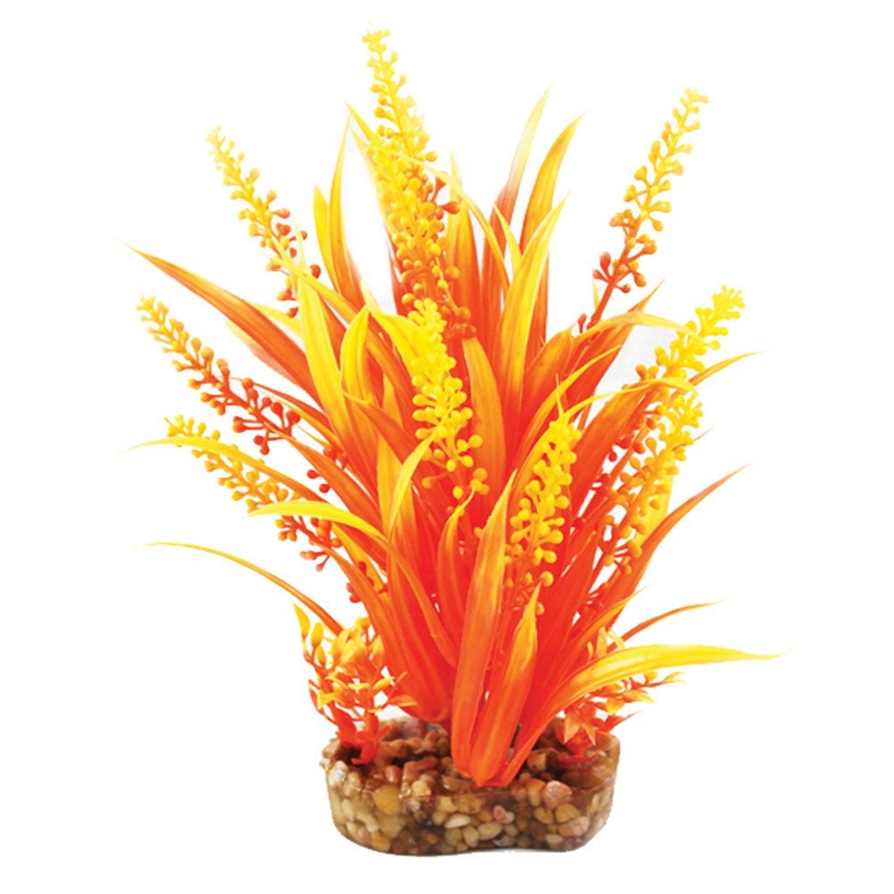 Aqua One Vibrance Orange Cabomba 20cm