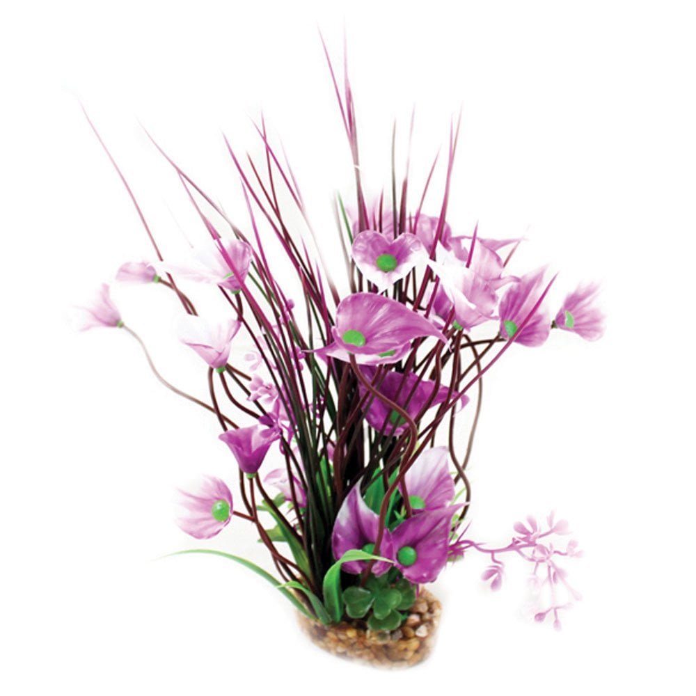 Aqua One Vibrance Purple Villarsia/Hygrophila 20cm