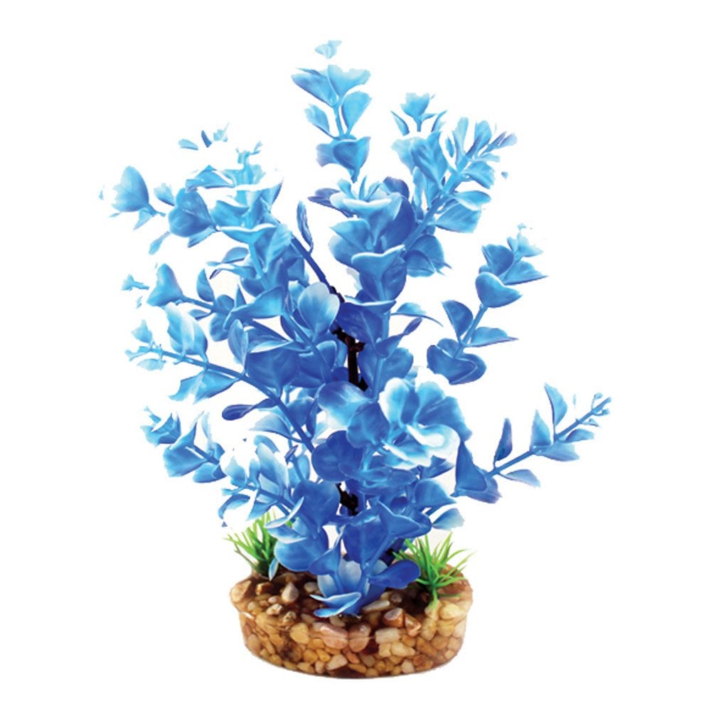 Aqua One Vibrance Blue Ludwigia 20cm
