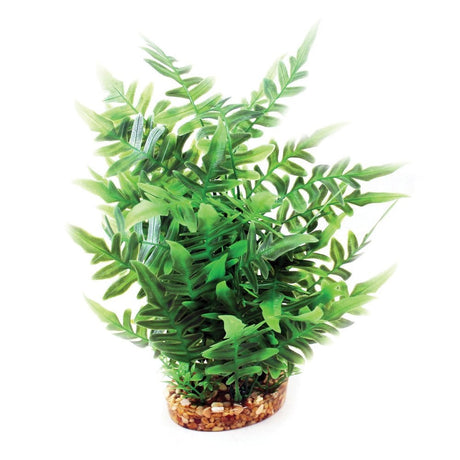 Aqua One Vibrance Green Fern 30cm