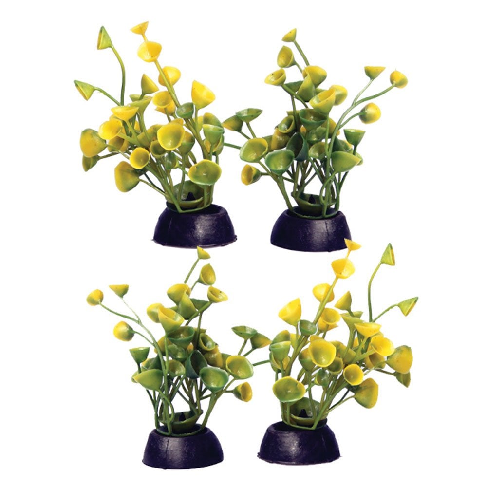 Aqua One Ecoscape Foreground Yellow Ogris Auribus 4pk