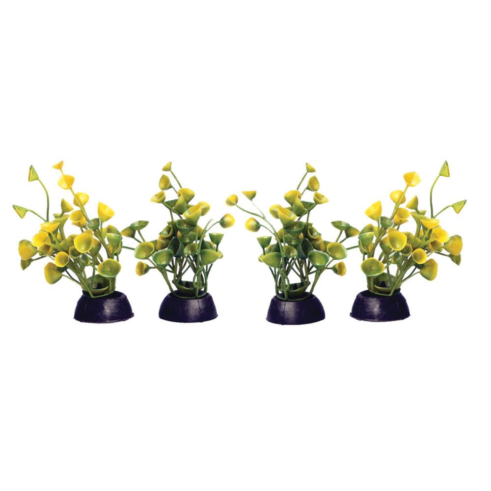 Aqua One Ecoscape Foreground Yellow Ogris Auribus 4pk