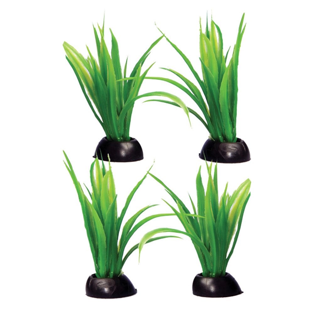 Aqua One Ecoscape Foreground Green Lilaeopsis (4pk)