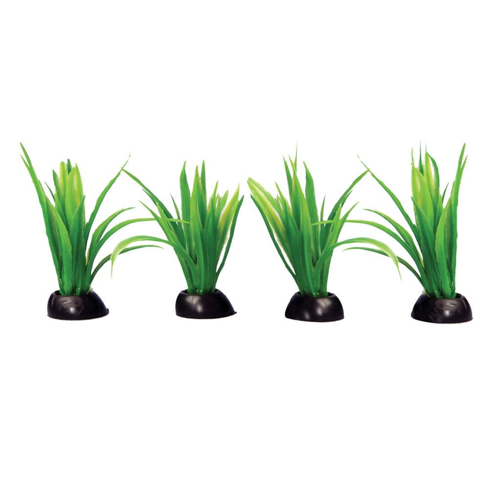 Aqua One Ecoscape Foreground Green Lilaeopsis (4pk)