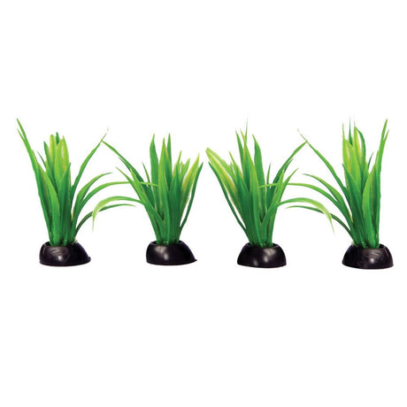Aqua One Ecoscape Foreground Green Lilaeopsis (4pk)