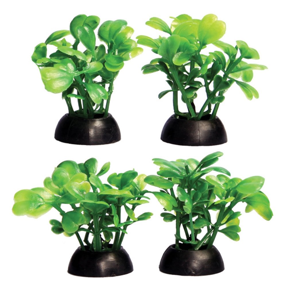 Aqua One Ecoscape Foreground Green Lobelia 4pk