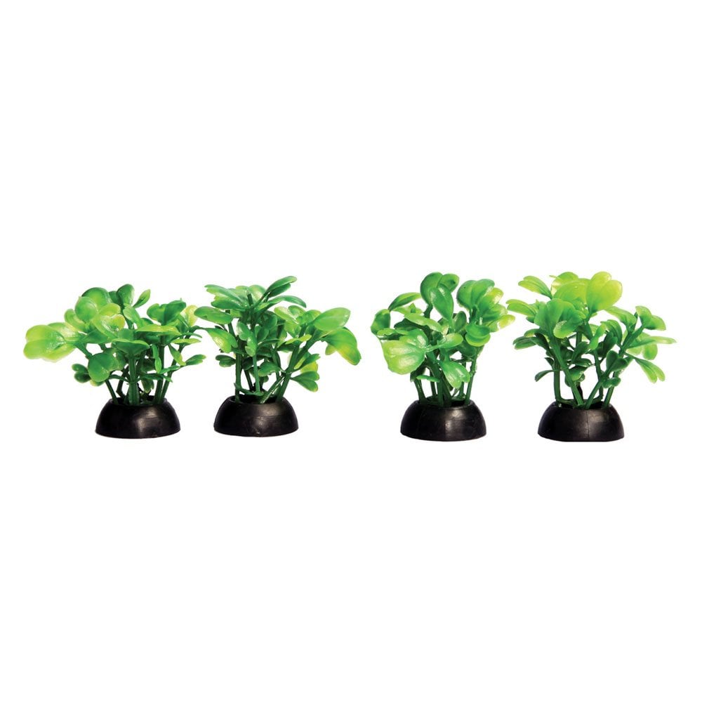 Aqua One Ecoscape Foreground Green Lobelia 4pk