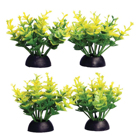 Aqua One Ecoscape Foreground Yellow Catspaw (4pk)