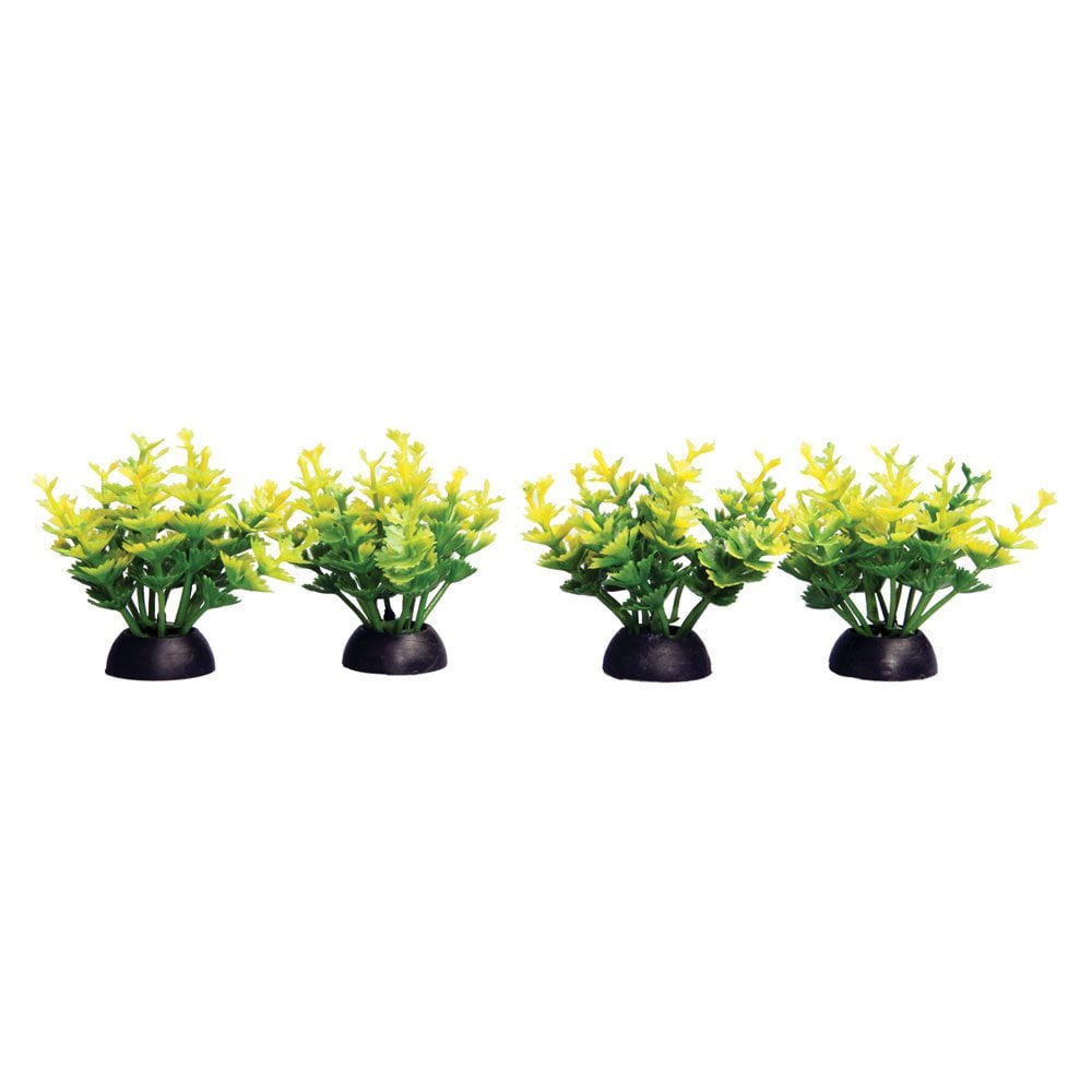 Aqua One Ecoscape Foreground Yellow Catspaw (4pk)