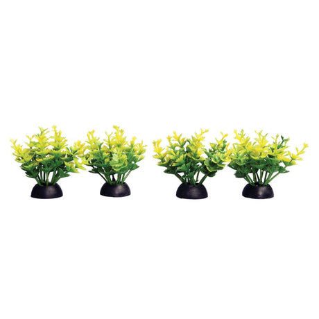 Aqua One Ecoscape Foreground Yellow Catspaw (4pk)