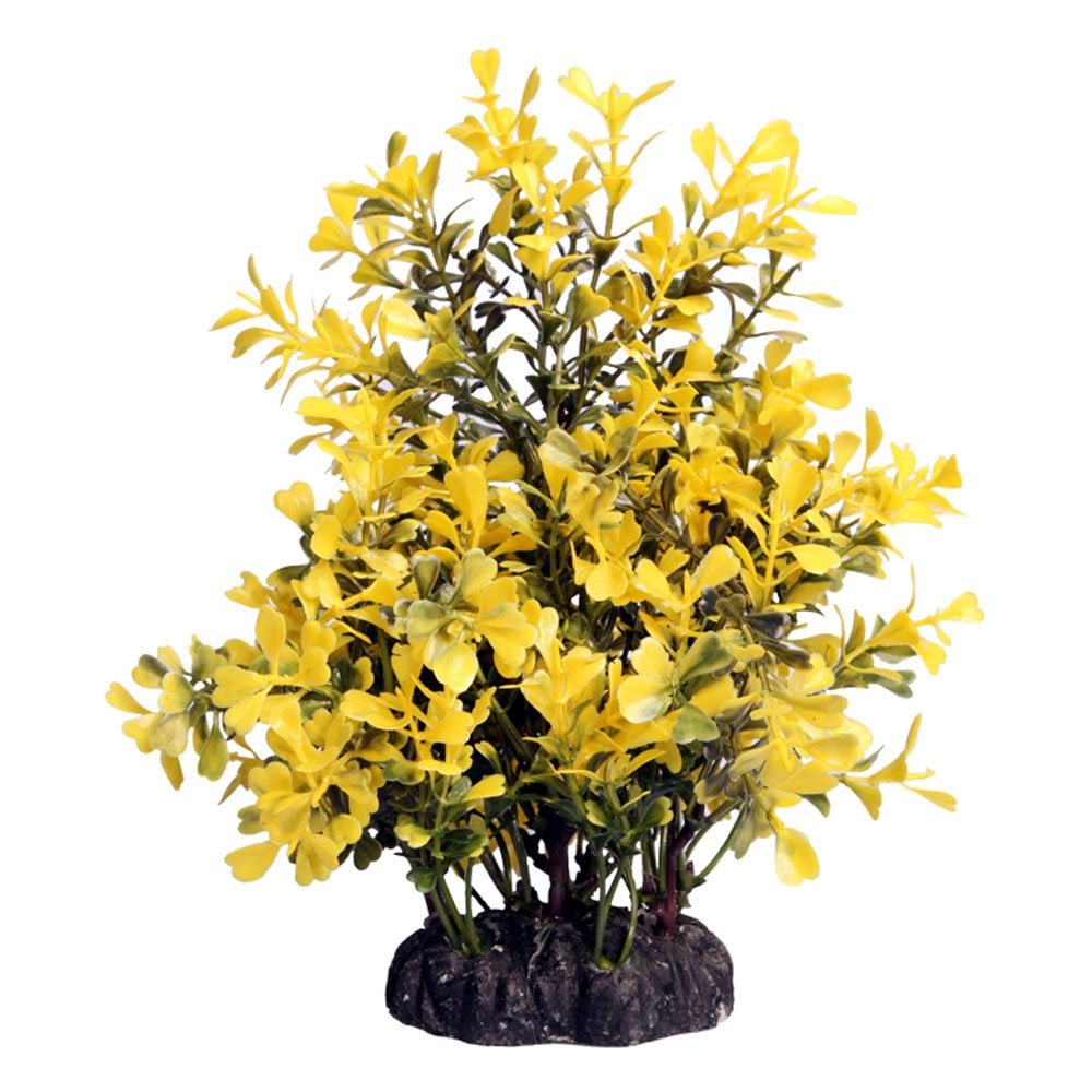 Aqua One Ecoscape Yellow Japanese Box 20cm